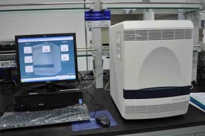 Fluorescent quantitative PCR laboratory equipment