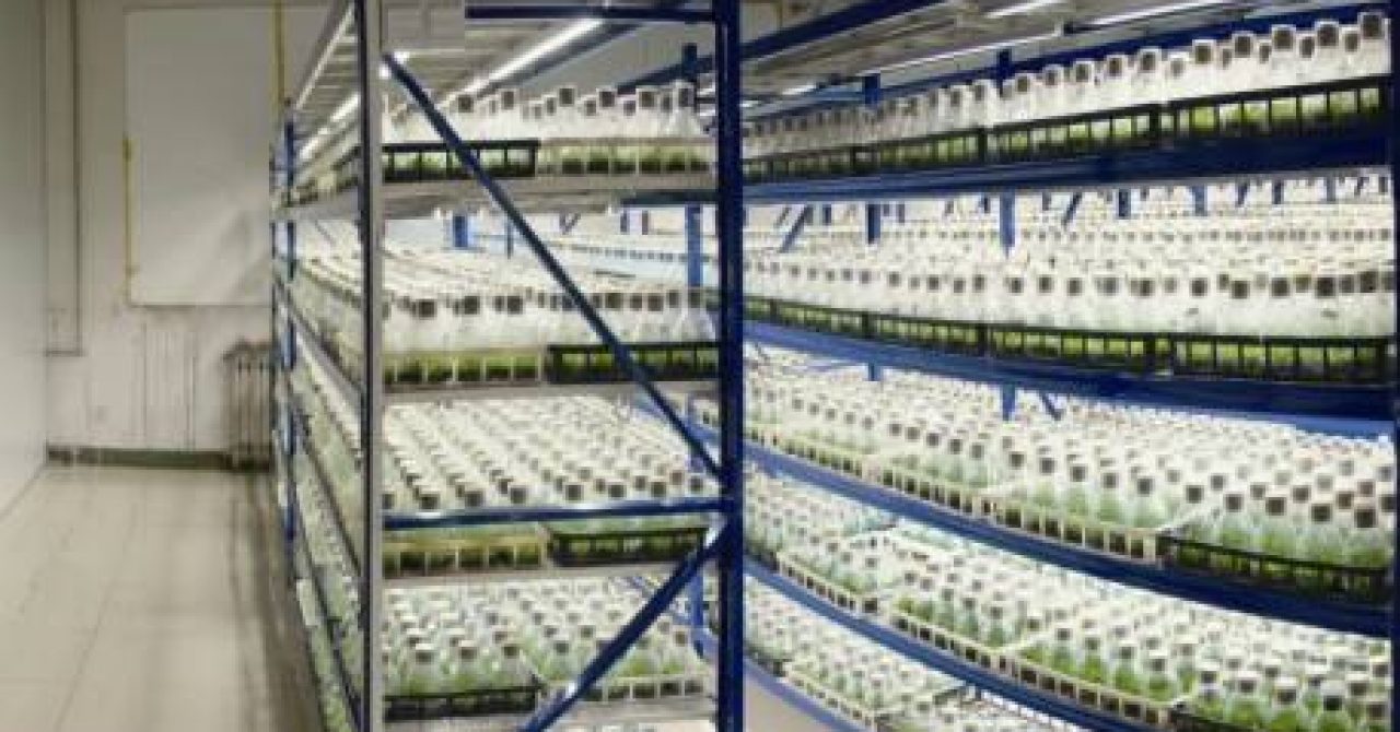 Tissue culture laboratory equipment list Laboratory Glassware